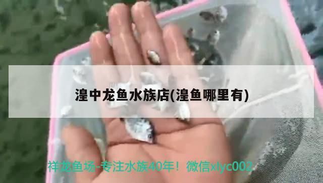 龍魚怕什么 湟中龍魚水族店(湟魚哪里有)(湟中龍魚水族店) 觀賞魚百科 湟中龍魚水族店(湟魚哪里有)(湟中龍魚水族店) 湟中龍魚水族店(湟魚哪里有)(湟中龍魚水族店) 觀賞魚百科