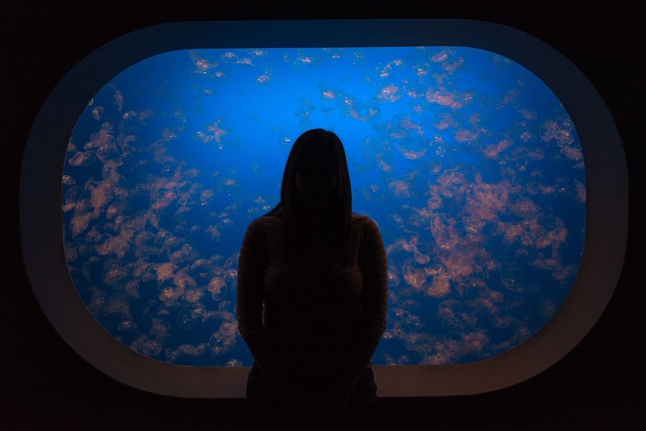 信陽哪里有水族館（店）