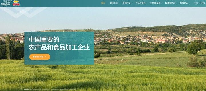 金龍魚轉讓價格如何評估？