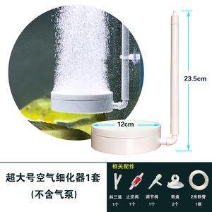 紅龍魚什么價格最好（紅龍魚什么價格最好養）（如何選擇最優質的紅龍魚品種和養殖方式？）