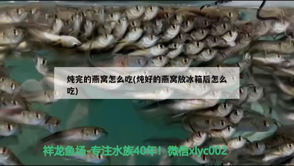 燉完的燕窩怎么吃(燉好的燕窩放冰箱后怎么吃)（燉完的燕窩怎么吃）