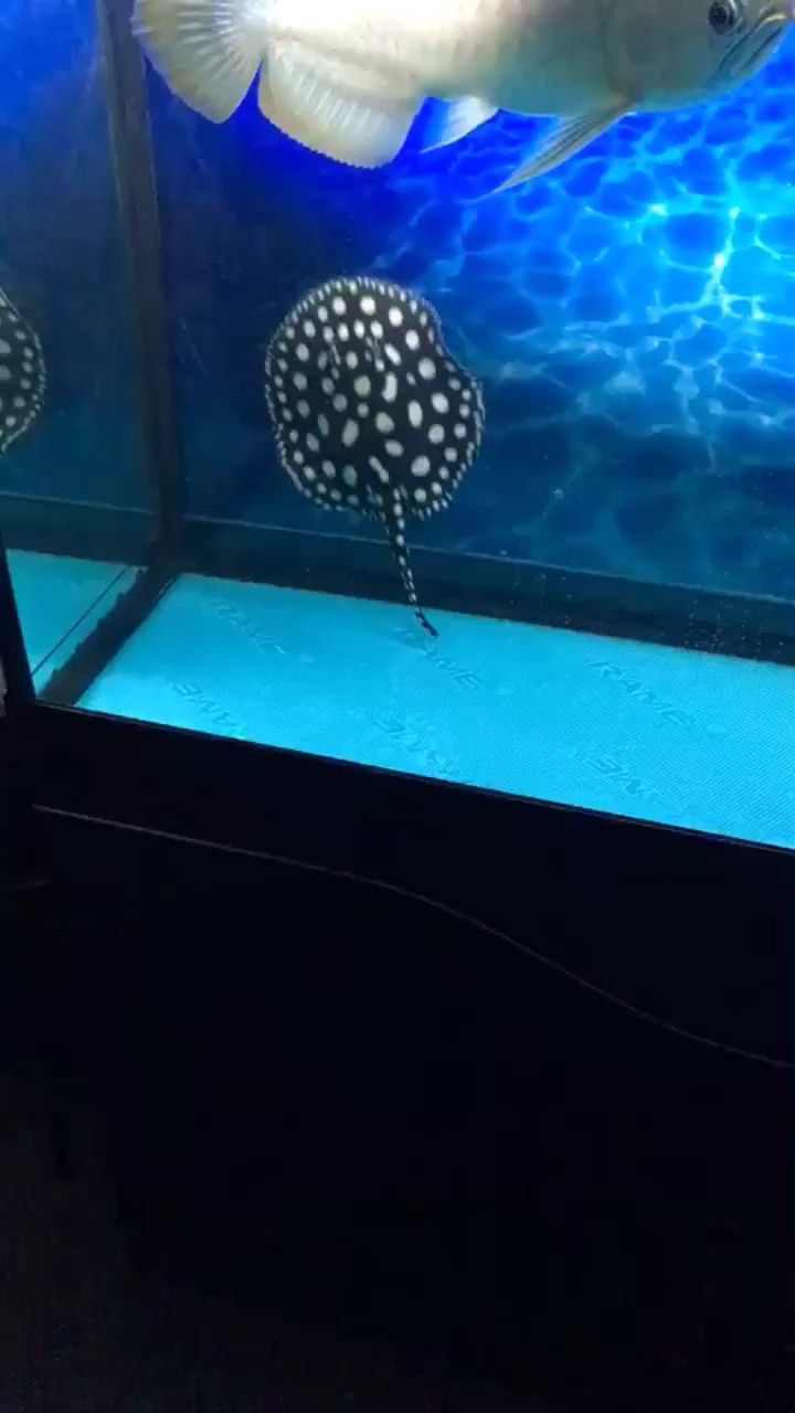 漂亮么？
