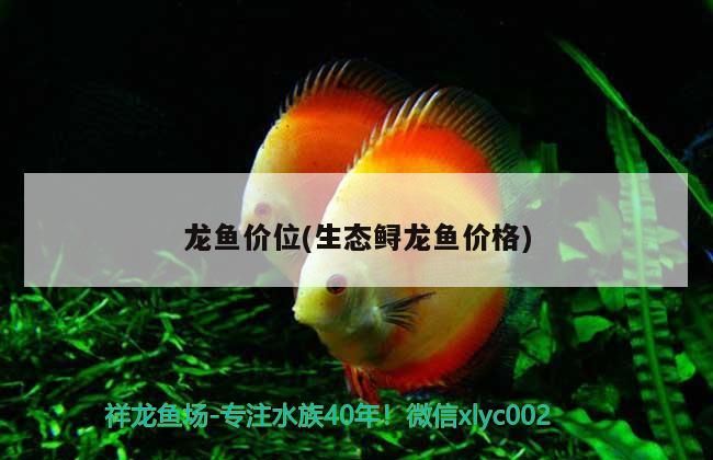 龍魚價位(生態鱘龍魚價格)