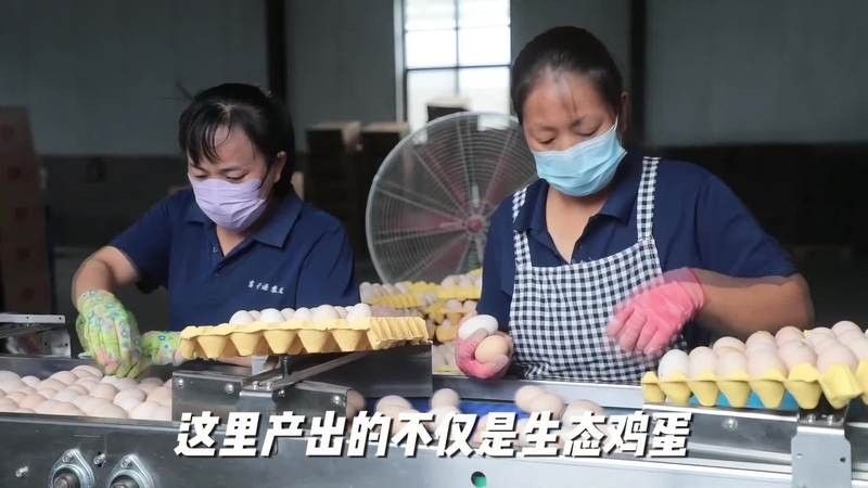 菏澤東明縣養(yǎng)殖基地的投資情況（菏澤東明縣養(yǎng)殖基地的投資現狀、面臨的挑戰(zhàn)以及未來發(fā)展趨勢）