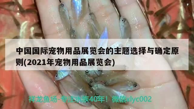 中國國際寵物用品展覽會(huì)的主題選擇與確定原則(2021年寵物用品展覽會(huì))