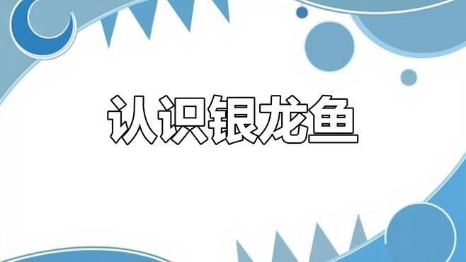 如何區分紅龍、金龍和銀龍？（小米金龍魚和紅龍魚的區別有哪些職霧卿如何挑選優質紅龍）