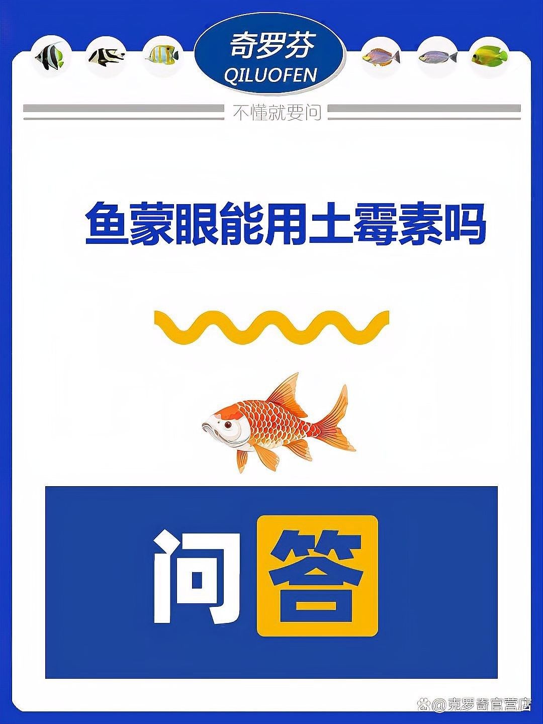 廣州寵物魚店哪家口碑最好，廣州口碑最好的寵物魚店集中在芳村花鳥魚蟲新世界