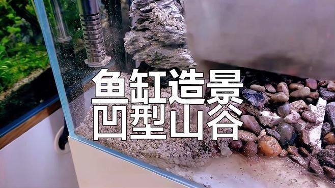 龍魚缸石頭造景有哪些風格（魚缸石頭造景是現代水族裝飾中的一種流行趨勢）