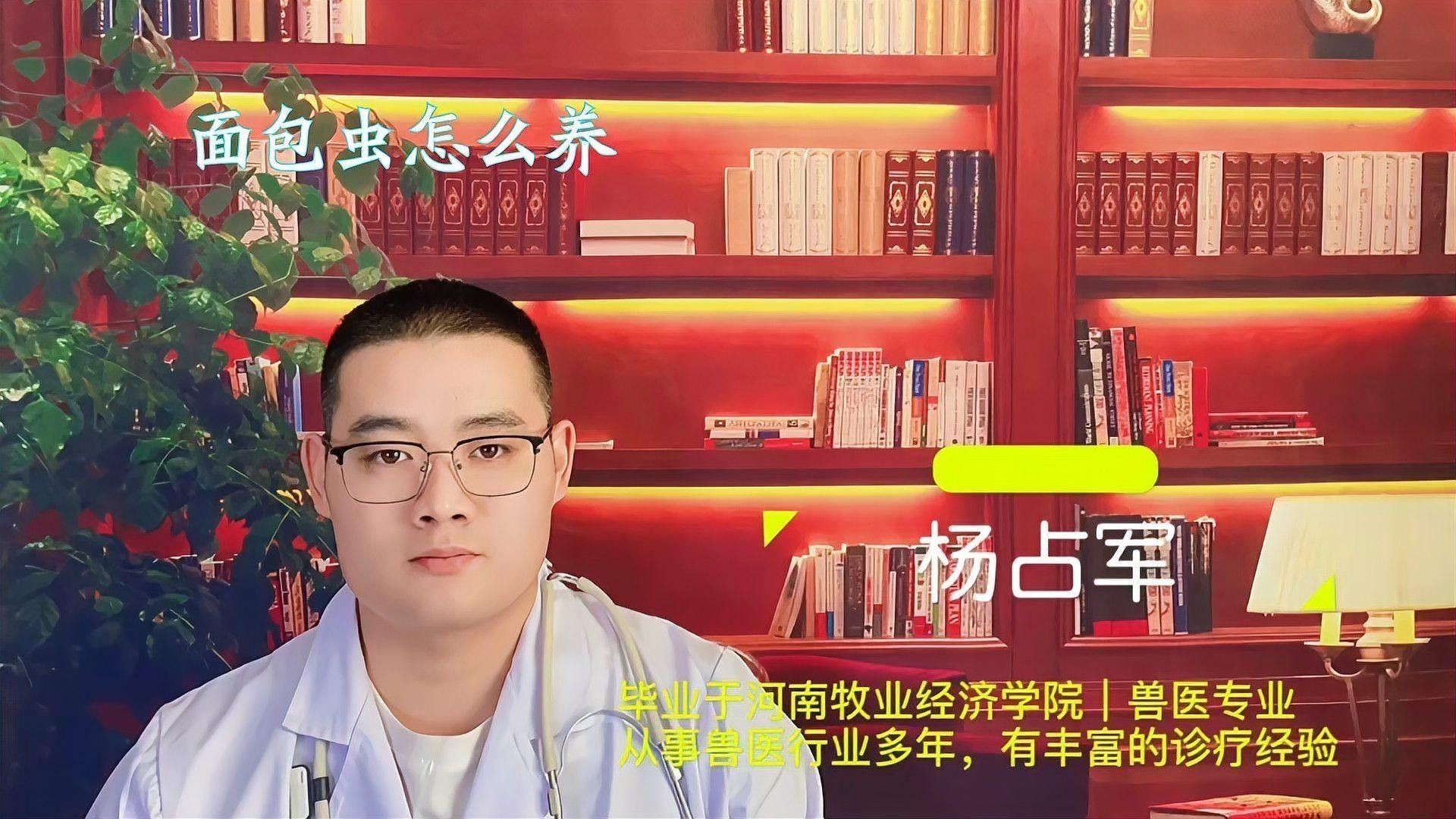 魚化龍辟邪還是招鬼，“魚化龍辟邪還是招鬼”