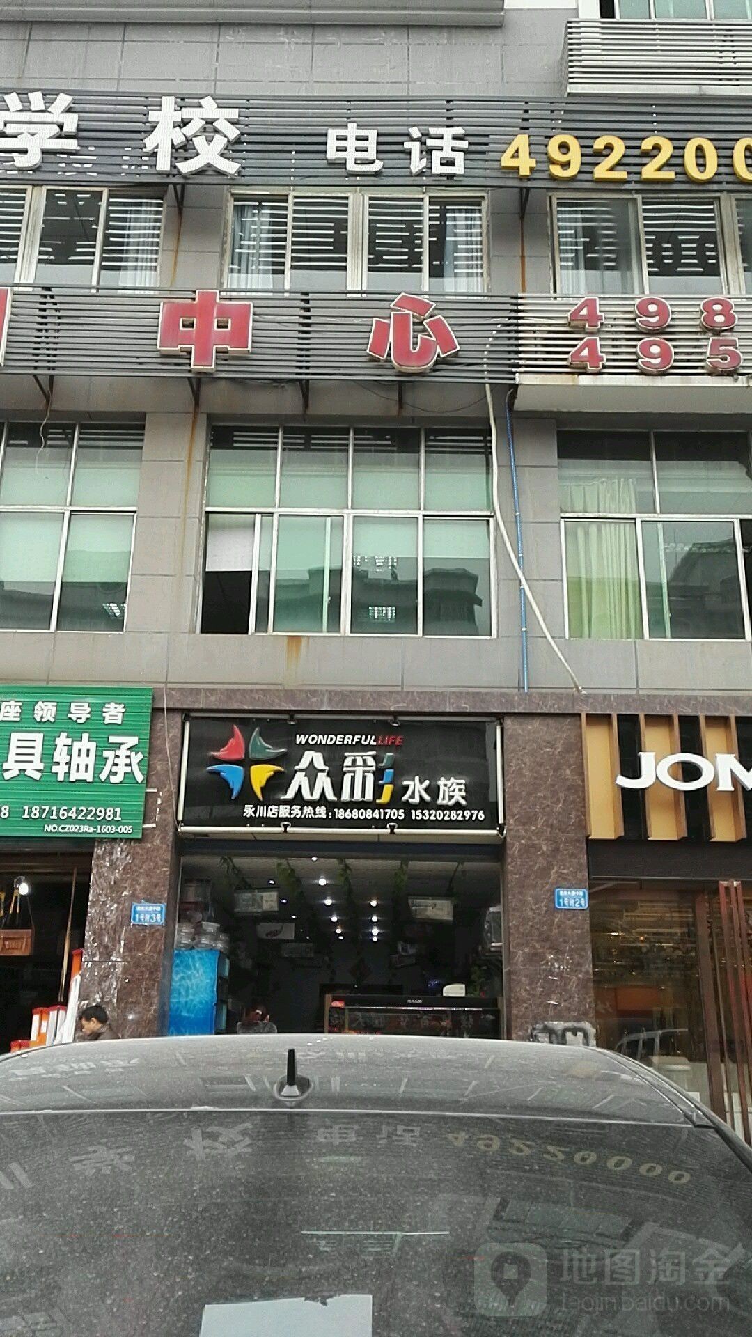北碚哪個水族館龍魚好？祥龍魚場龍魚（重慶北碚區祥龍魚場） 北碚哪個水族館龍魚好？祥龍魚場龍魚（重慶北碚區祥龍魚場） 龍魚百科 第10張