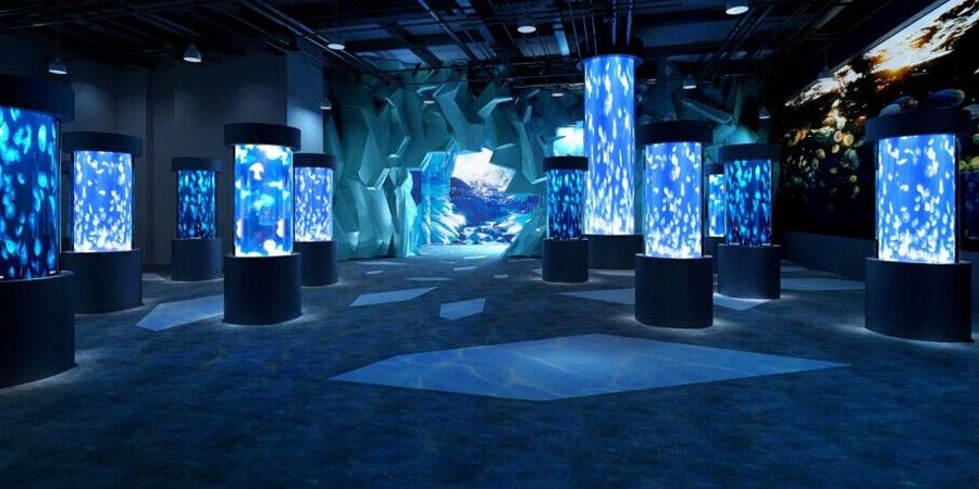 北碚哪個水族館龍魚好？祥龍魚場龍魚（重慶北碚區祥龍魚場） 北碚哪個水族館龍魚好？祥龍魚場龍魚（重慶北碚區祥龍魚場） 龍魚百科 第9張