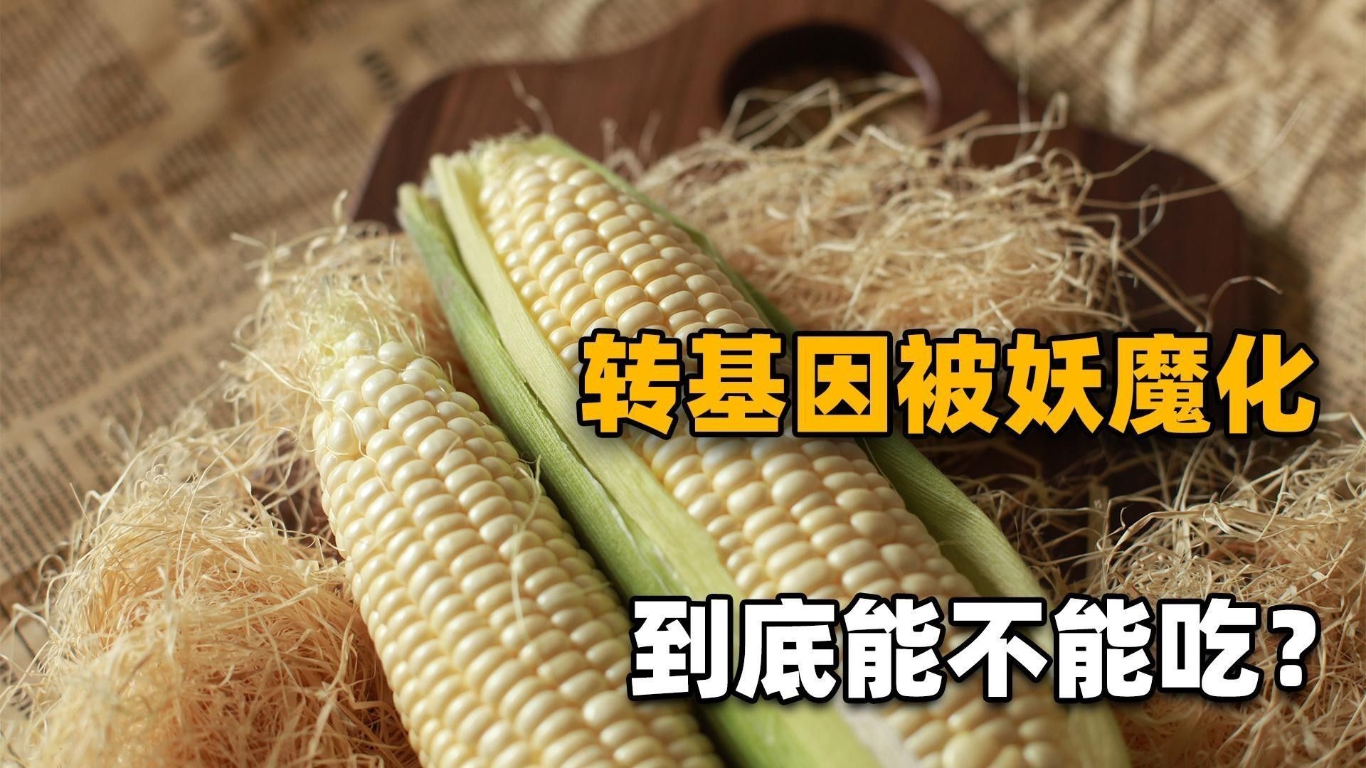 轉(zhuǎn)基因食品有哪些種類（轉(zhuǎn)基因食品主要包括哪些？）
