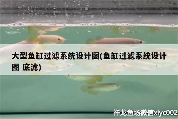 龍魚 大型魚缸過濾系統設計圖(魚缸過濾系統設計圖底濾) 觀賞魚百科 大型魚缸過濾系統設計圖(魚缸過濾系統設計圖底濾) 大型魚缸過濾系統設計圖(魚缸過濾系統設計圖底濾) 觀賞魚百科