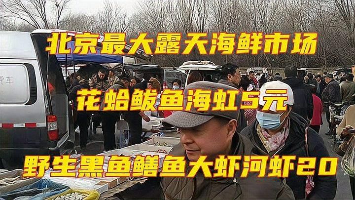 如何挑選新鮮的海鮮？（如何挑選新鮮海鮮） 如何挑選新鮮的海鮮？（如何挑選新鮮海鮮） 龍魚(yú)百科 第3張