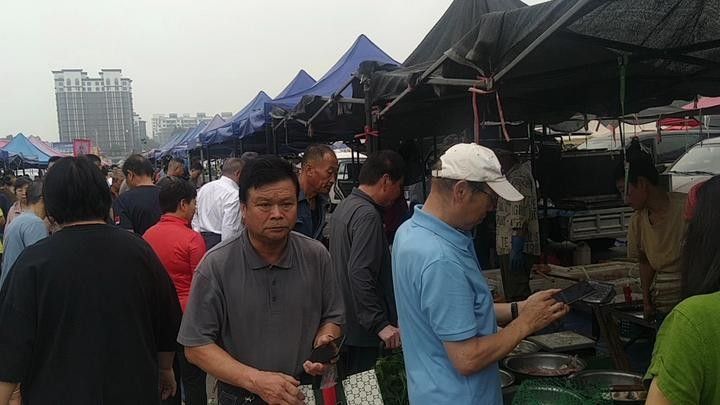 如何挑選新鮮的海鮮？（如何挑選新鮮海鮮） 如何挑選新鮮的海鮮？（如何挑選新鮮海鮮） 龍魚(yú)百科 第5張
