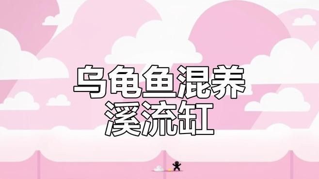 草金魚和龜混養(yǎng)需要多大的缸？（萌寵百科小團團,烏龜和金魚能同缸養(yǎng)嗎） 草金魚和龜混養(yǎng)需要多大的缸？（萌寵百科小團團,烏龜和金魚能同缸養(yǎng)嗎） 龍魚百科 第1張