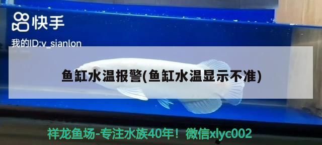 魚缸水溫報警(魚缸水溫顯示不準) 魚缸水溫報警(魚缸水溫顯示不準) 觀賞魚百科