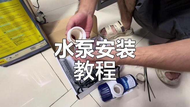 混養羅漢魚和龍魚需要多大的水泵？