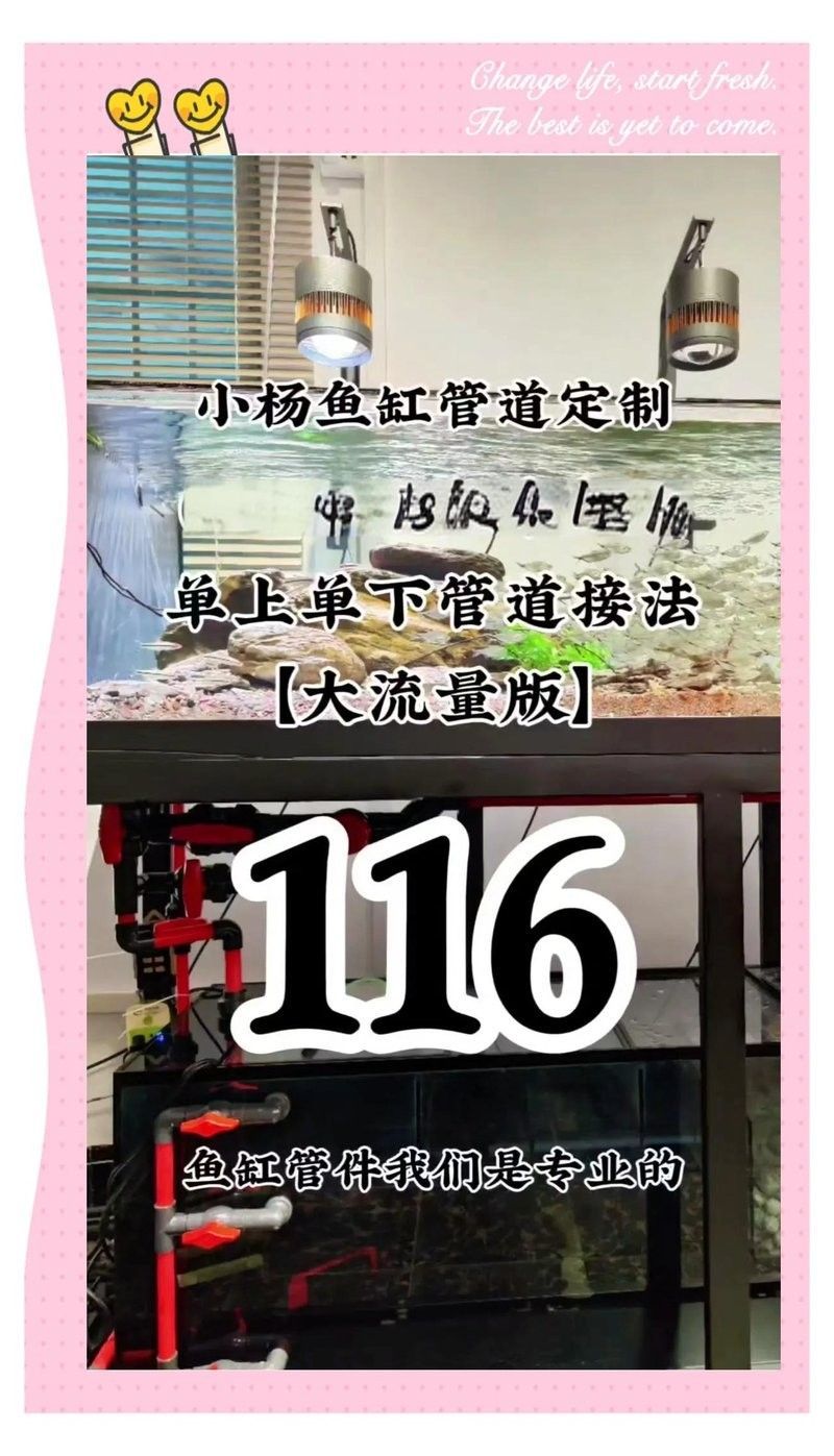 給我一份詳細(xì)的匯龍魚缸安裝教程（匯龍品牌魚缸安裝教程） 給我一份詳細(xì)的匯龍魚缸安裝教程（匯龍品牌魚缸安裝教程） 龍魚百科 第2張