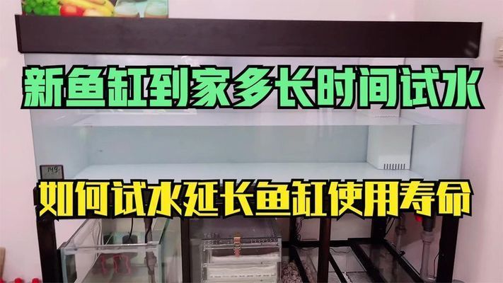 金龍魚動態壁紙版權保護措施（金龍魚動態壁紙的版權保護措施）
