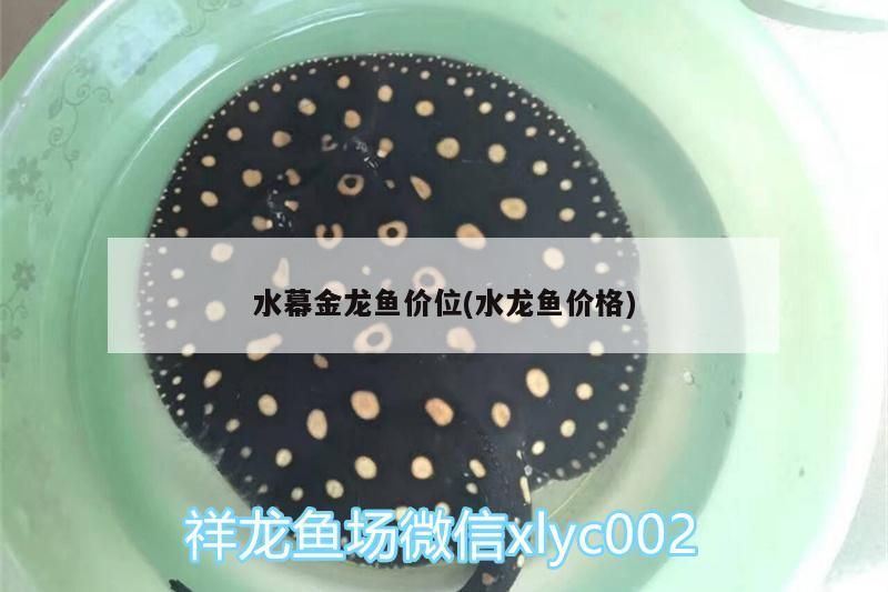 水幕金龍魚(yú)價(jià)位(水龍魚(yú)價(jià)格)