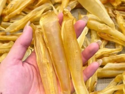 泡發(fā)金龍魚膠需要多長(zhǎng)時(shí)間？（泡發(fā)金龍魚膠的時(shí)間和方法）