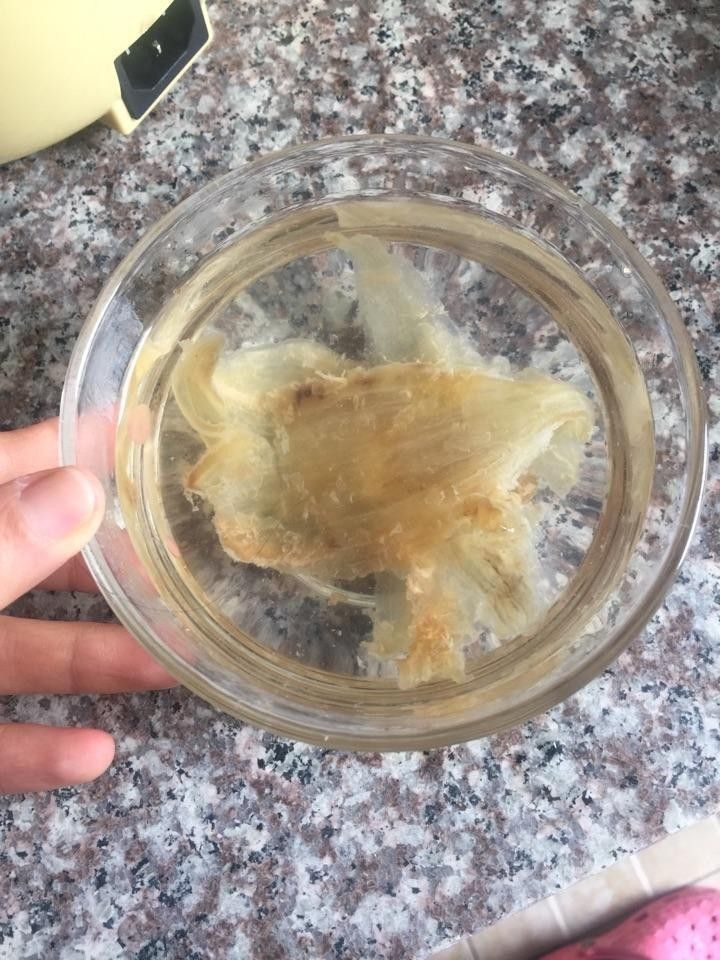 泡發金龍魚膠需要多長時間？（泡發金龍魚膠的時間和方法）