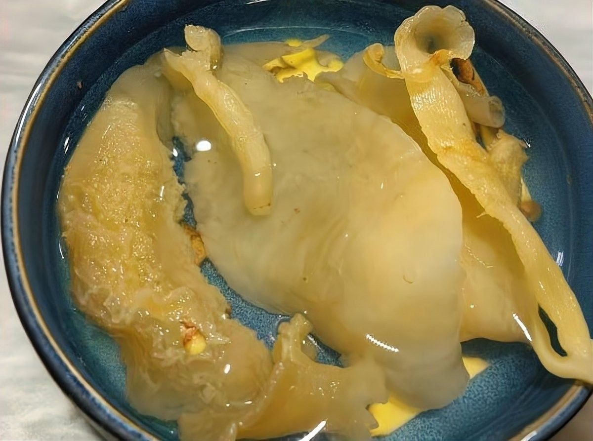 泡發金龍魚膠需要多長時間？（泡發金龍魚膠的時間和方法）
