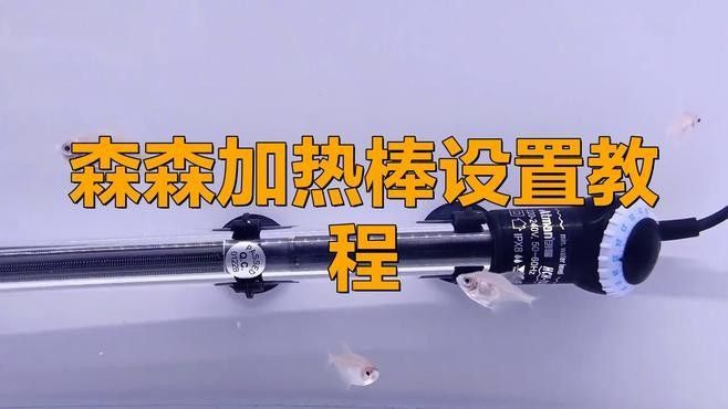 如何正確使用加熱棒