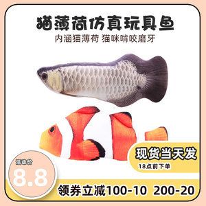 金龍魚能和巴西亞一起養嗎（巴西龜和金龍魚可以一起養嗎） 金龍魚能和巴西亞一起養嗎（巴西龜和金龍魚可以一起養嗎） 觀賞魚百科