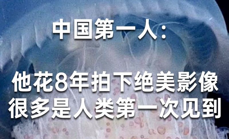 給我一些藍龍魚的藝術(shù)攝影作品
