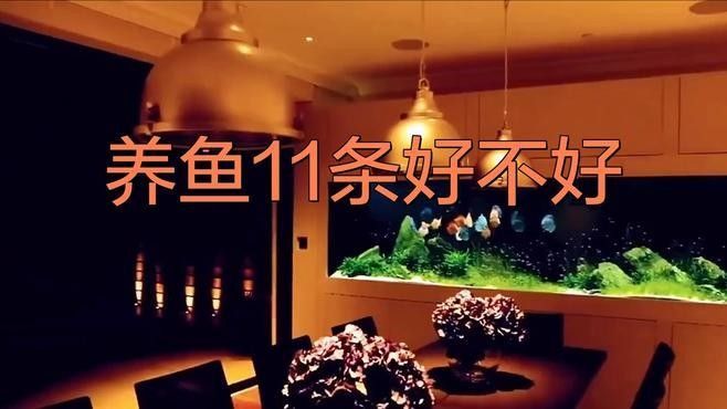 混養魚的最佳數量是多少（養魚的最佳數量取決于多種因素） 混養魚的最佳數量是多少（養魚的最佳數量取決于多種因素） 龍魚百科 第4張