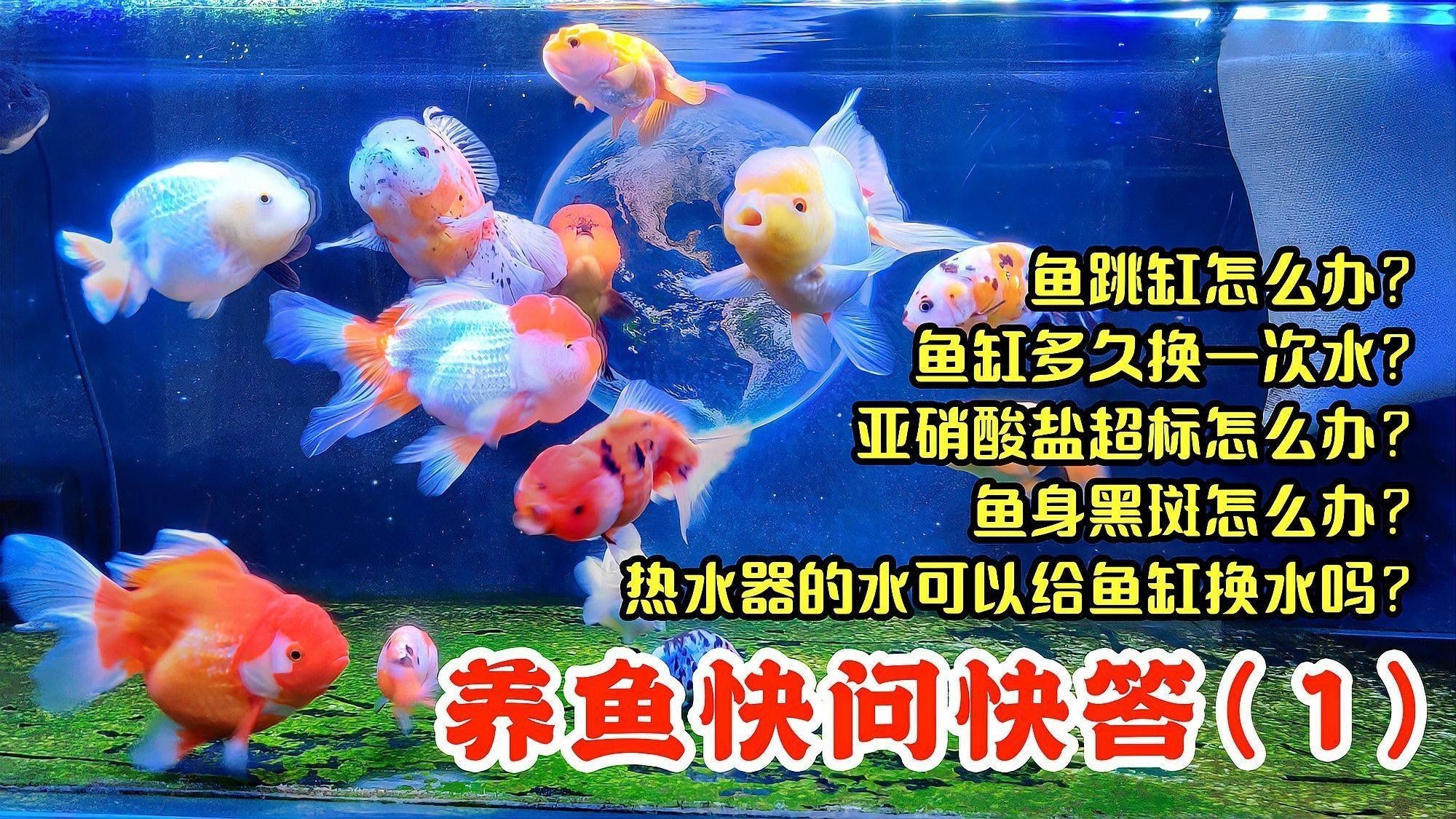 跳缸后多久需要更換水質？