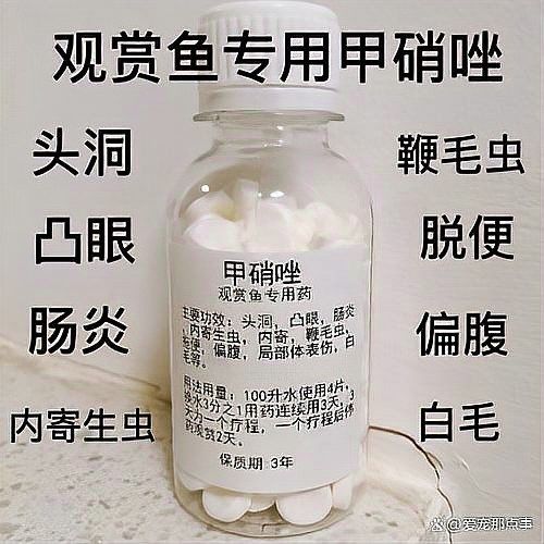 龍魚細菌性腸炎的早期癥狀是什么 龍魚細菌性腸炎的早期癥狀是什么 龍魚百科 第5張
