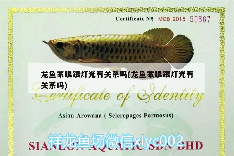 龍魚蒙眼跟燈光有關系嗎(龍魚蒙眼跟燈光有關系嗎) 龍魚蒙眼跟燈光有關系嗎(龍魚蒙眼跟燈光有關系嗎) 觀賞魚百科