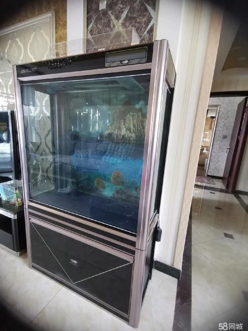 如何聯系金九龍魚缸的客服（如何聯系金九龍魚缸客服？）