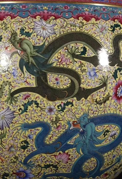 如何聯系金九龍魚缸的客服（如何聯系金九龍魚缸客服？）