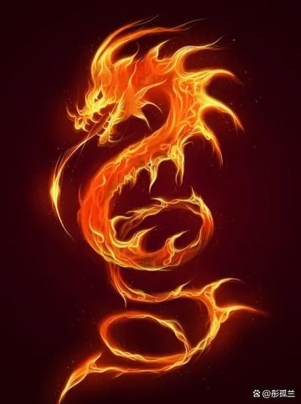 紅龍之眼壁紙有哪些風格 龍魚百科 第23張 紅龍之眼壁紙有哪些風格 紅龍之眼壁紙有哪些風格 龍魚百科 第23張