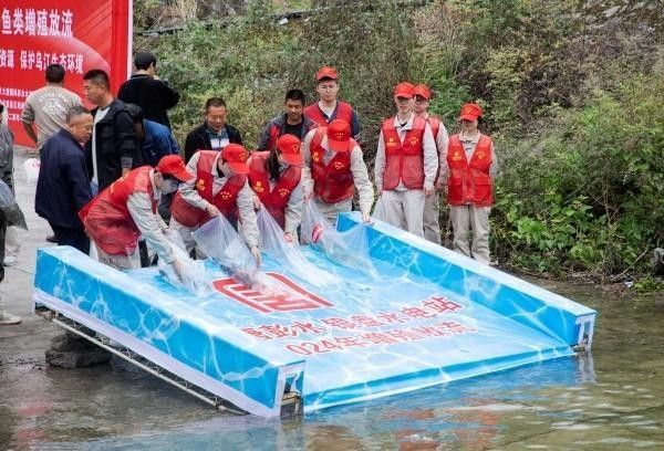 彭水哪個水族館龍魚好？祥龍魚場龍魚 彭水哪個水族館龍魚好？祥龍魚場龍魚 龍魚百科 第13張