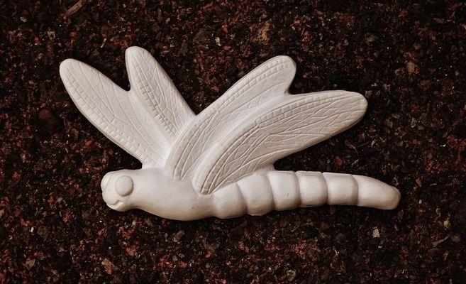 細(xì)線銀版魚(yú)換水操作指南,細(xì)線銀版魚(yú)換水操作 觀賞魚(yú)百科 第3張 細(xì)線銀版魚(yú)換水操作指南,細(xì)線銀版魚(yú)換水操作 細(xì)線銀版魚(yú)換水操作指南,細(xì)線銀版魚(yú)換水操作 觀賞魚(yú)百科 第3張