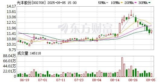 募投項目延期是否需要公告？