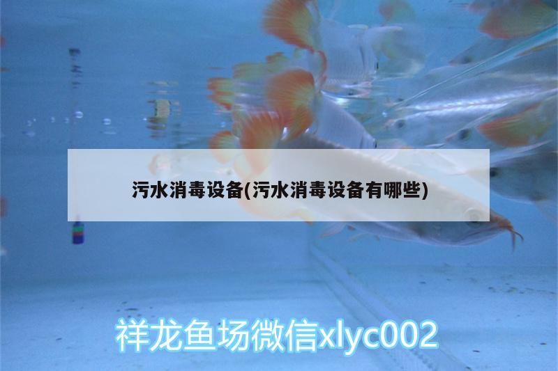 污水消毒設備(污水消毒設備有哪些)