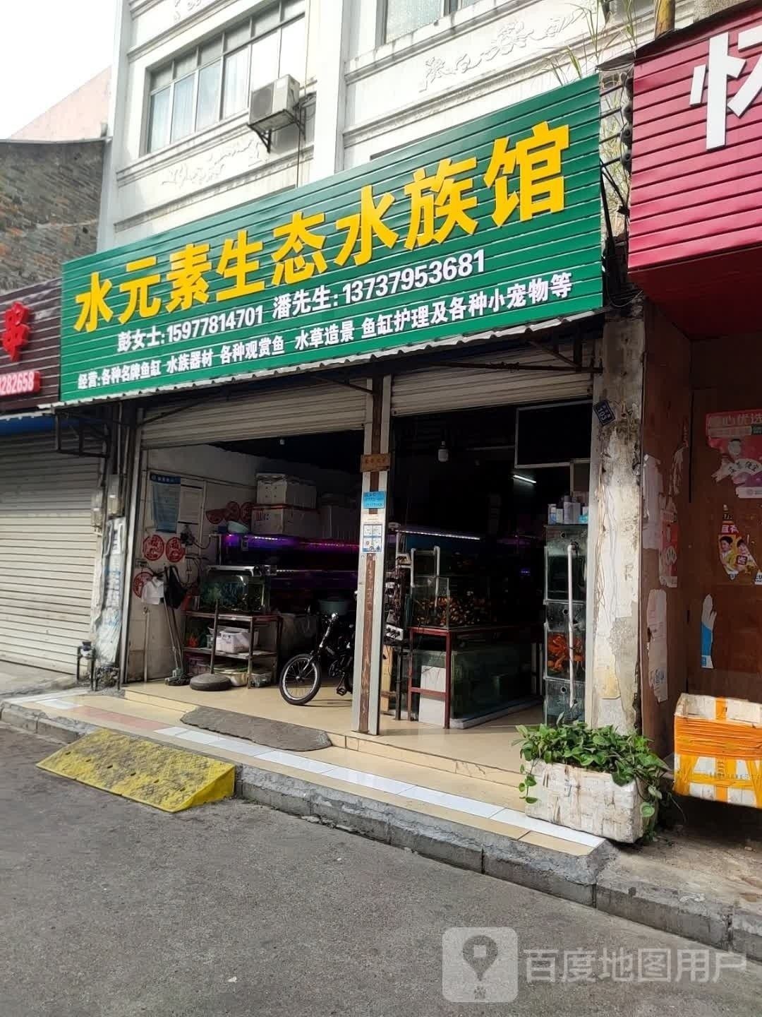 南丹哪個水族館龍魚好？祥龍魚場龍魚