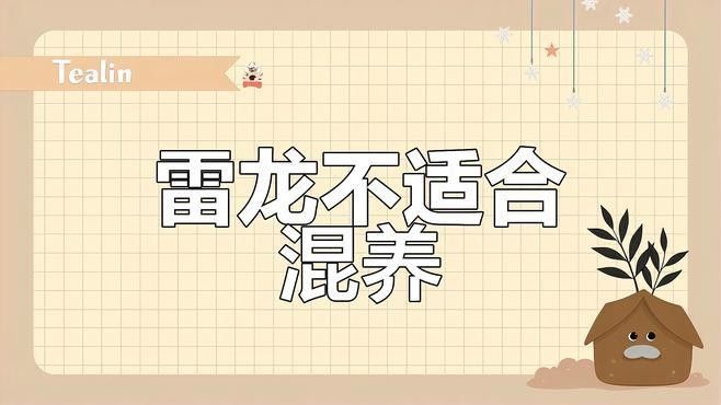 哪些魚不適合和雷龍魚混養（雷龍魚不適合與哪些魚類混養） 哪些魚不適合和雷龍魚混養（雷龍魚不適合與哪些魚類混養） 龍魚百科 第2張