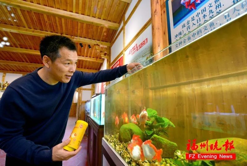 福州觀賞魚回收價格如何？
