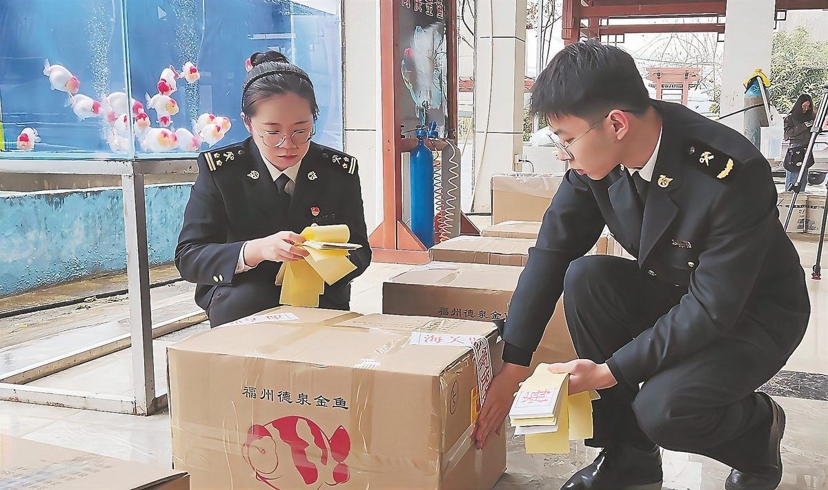 福州觀賞魚回收價格如何？
