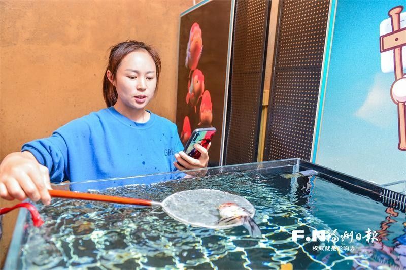 福州觀賞魚回收價格如何？