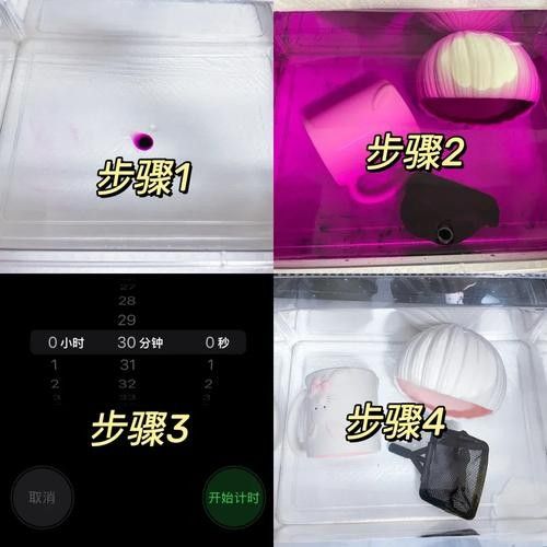 六角龍魚缸消毒可以用哪些溫和化學(xué)藥劑（六角龍魚缸消毒殺菌用什么藥好）