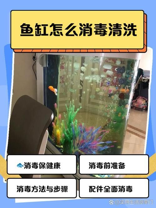 六角龍魚缸消毒可以用哪些溫和化學藥劑（六角龍魚缸消毒殺菌用什么藥好）