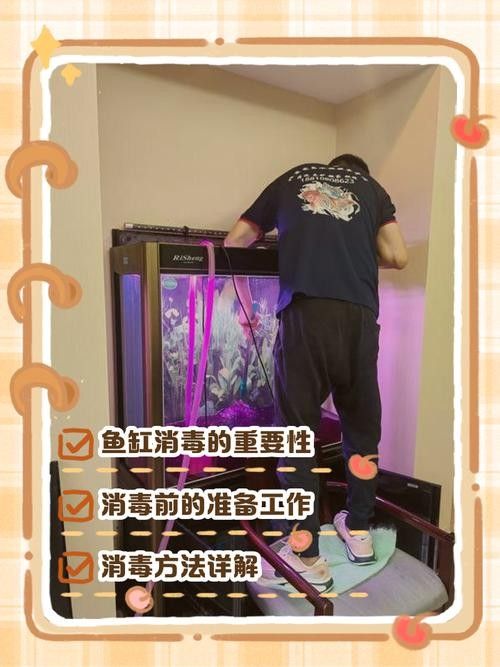 六角龍魚缸消毒可以用哪些溫和化學藥劑（六角龍魚缸消毒殺菌用什么藥好）